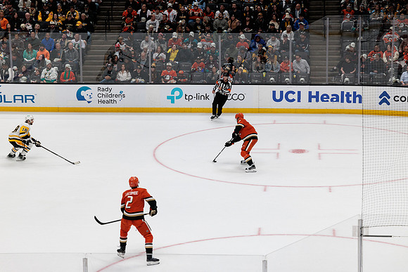 101425_ANAHEIM_DUCKS_495