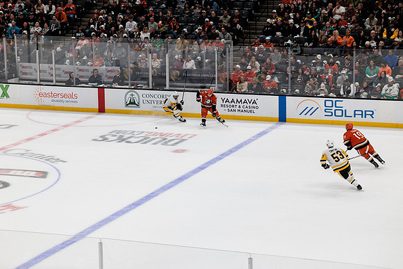 101425_ANAHEIM_DUCKS_497