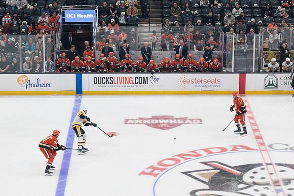 101425_ANAHEIM_DUCKS_526