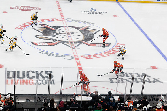 101425_ANAHEIM_DUCKS_528