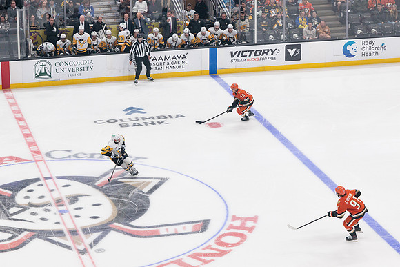 101425_ANAHEIM_DUCKS_546