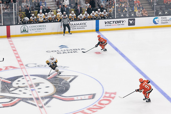 101425_ANAHEIM_DUCKS_547