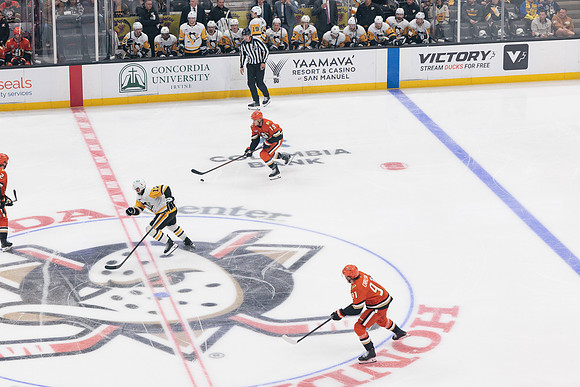 101425_ANAHEIM_DUCKS_548