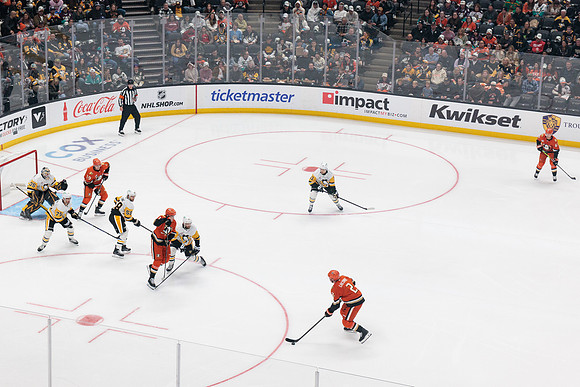 101425_ANAHEIM_DUCKS_550