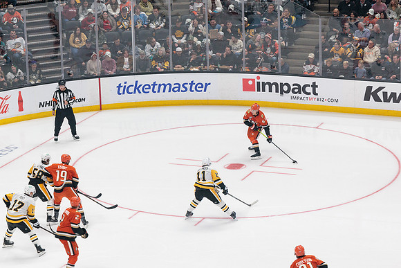 101425_ANAHEIM_DUCKS_554
