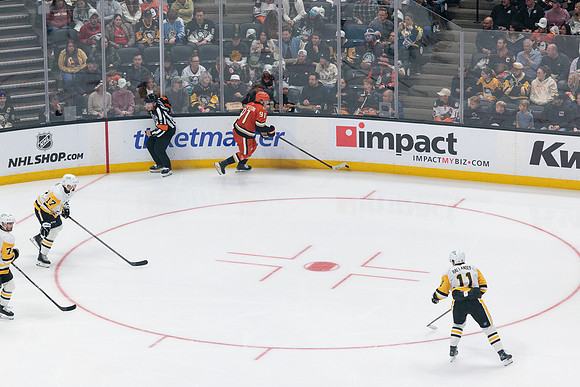 101425_ANAHEIM_DUCKS_564