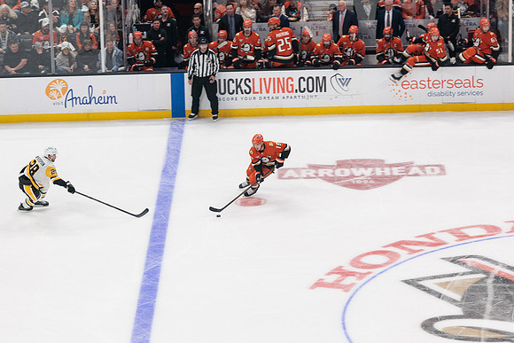 101425_ANAHEIM_DUCKS_587