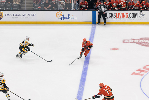 101425_ANAHEIM_DUCKS_589