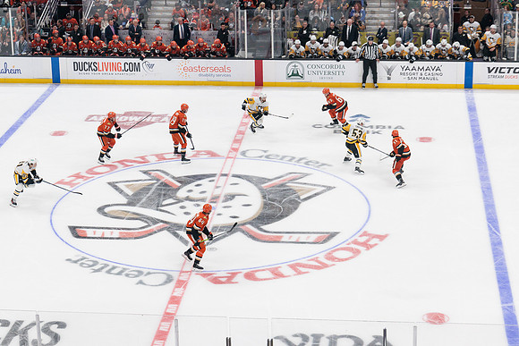 101425_ANAHEIM_DUCKS_592