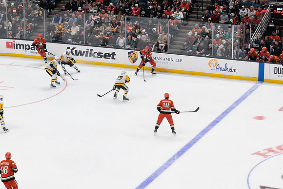 101425_ANAHEIM_DUCKS_599