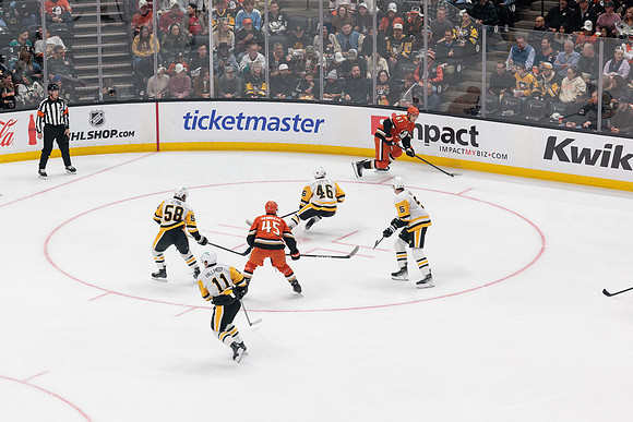 101425_ANAHEIM_DUCKS_600