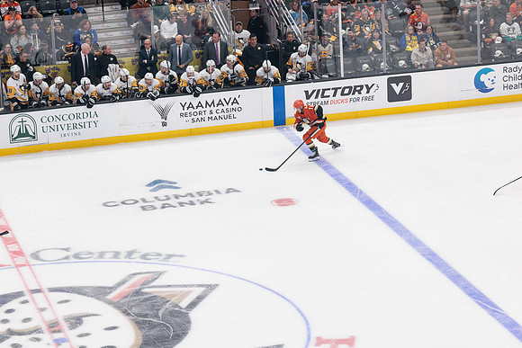 101425_ANAHEIM_DUCKS_582