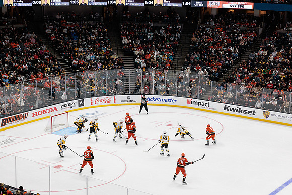 101425_ANAHEIM_DUCKS_628