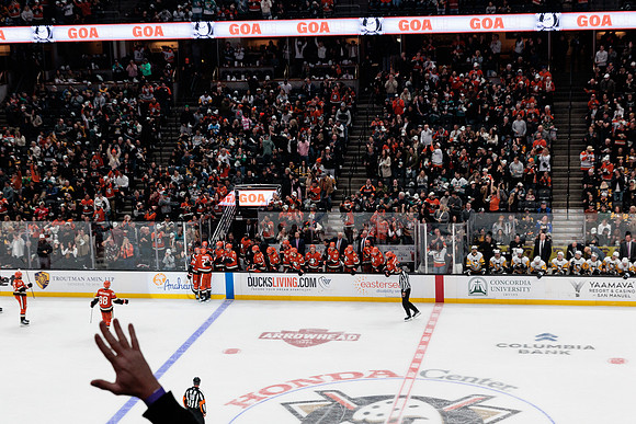 101425_ANAHEIM_DUCKS_644