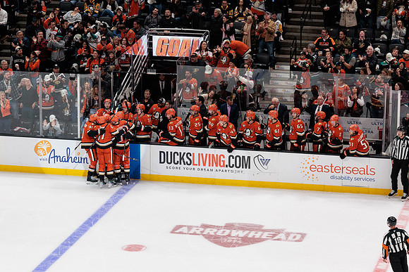 101425_ANAHEIM_DUCKS_650