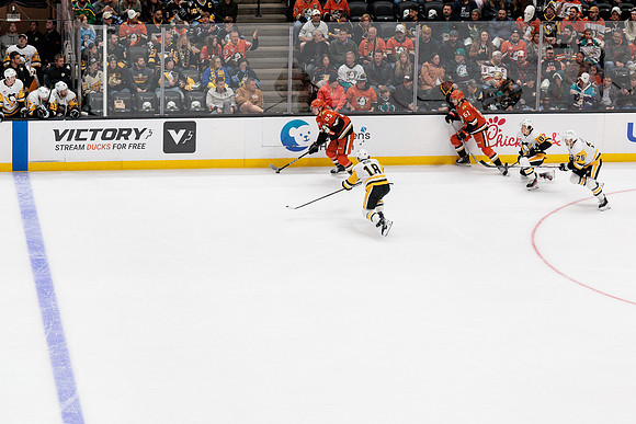 101425_ANAHEIM_DUCKS_666