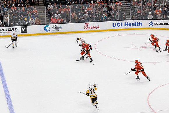 101425_ANAHEIM_DUCKS_738