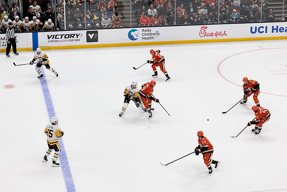 101425_ANAHEIM_DUCKS_739