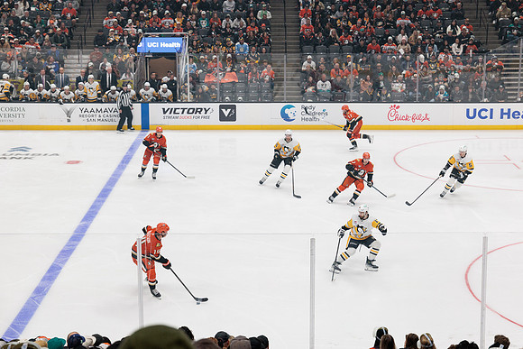 101425_ANAHEIM_DUCKS_765