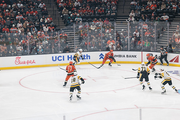 101425_ANAHEIM_DUCKS_767