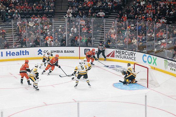 101425_ANAHEIM_DUCKS_768