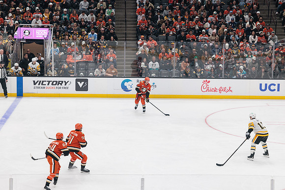 101425_ANAHEIM_DUCKS_809