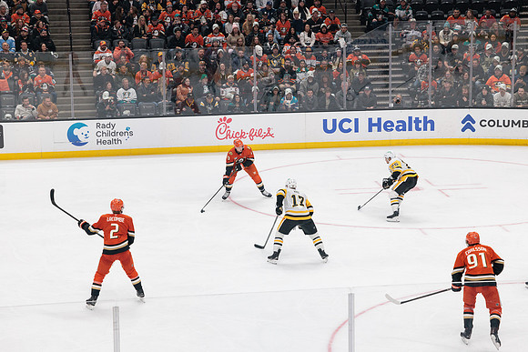 101425_ANAHEIM_DUCKS_820