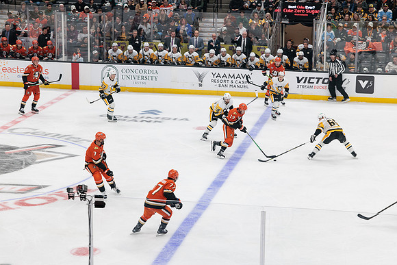 101425_ANAHEIM_DUCKS_838