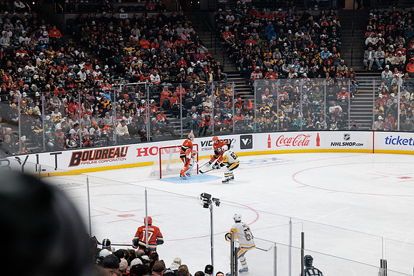 101425_ANAHEIM_DUCKS_860