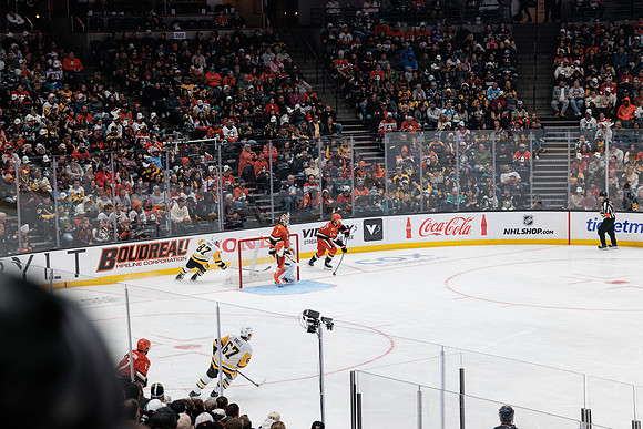 101425_ANAHEIM_DUCKS_861