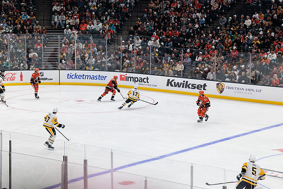 101425_ANAHEIM_DUCKS_862