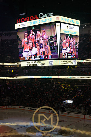 041325_ANAHEIM_DUCKS_317