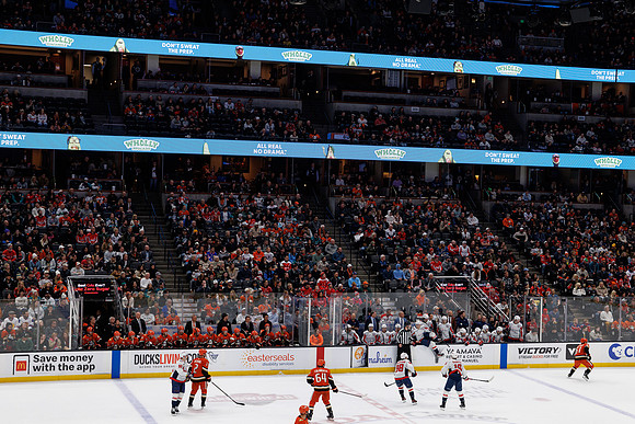 031125_ANAHEIM_DUCKS_1122