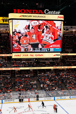 101624_ANAHEIM_DUCKS_0728
