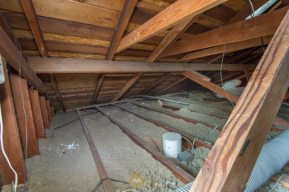 060915_ATTIC_GUYS_0010