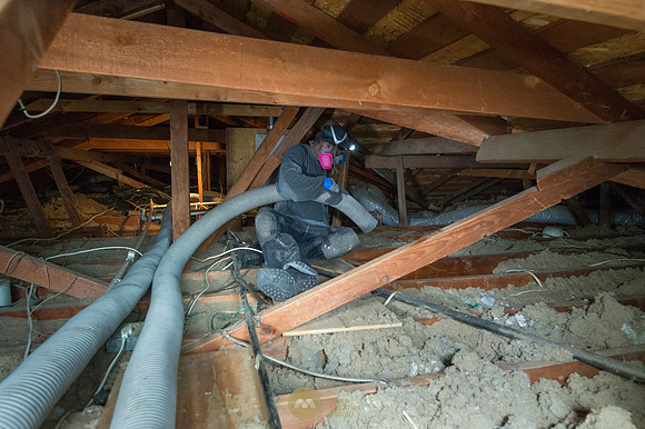 060915_ATTIC_GUYS_0011