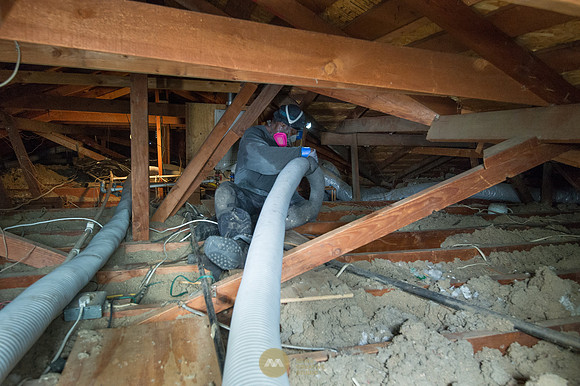 060915_ATTIC_GUYS_0012