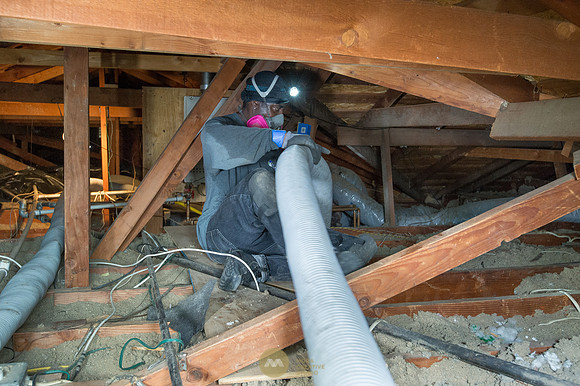 060915_ATTIC_GUYS_0013