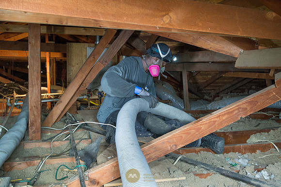 060915_ATTIC_GUYS_0014