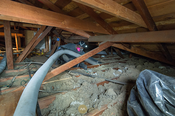 060915_ATTIC_GUYS_0017