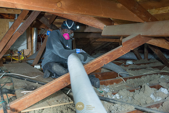 060915_ATTIC_GUYS_0020