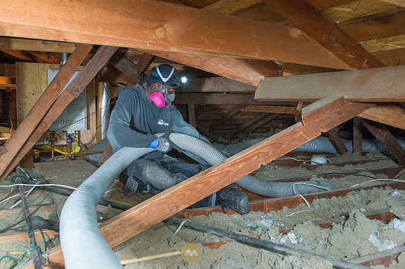060915_ATTIC_GUYS_0022