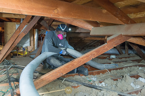 060915_ATTIC_GUYS_0023