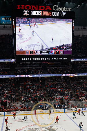 041325_ANAHEIM_DUCKS_363