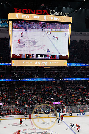 041325_ANAHEIM_DUCKS_356