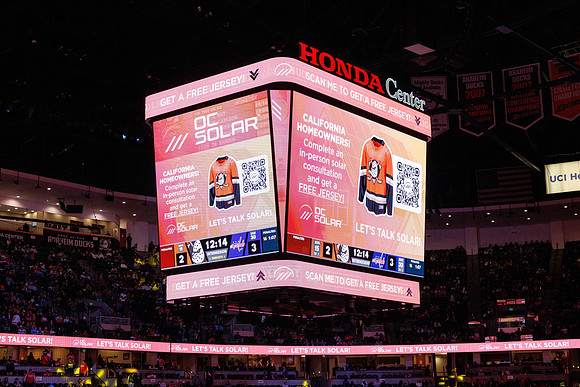 031125_ANAHEIM_DUCKS_1411