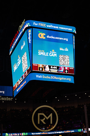 041325_ANAHEIM_DUCKS_316