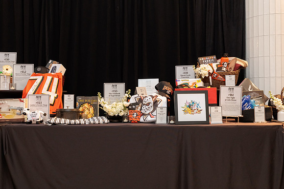 011126_ANAHEIM_DUCKS_005