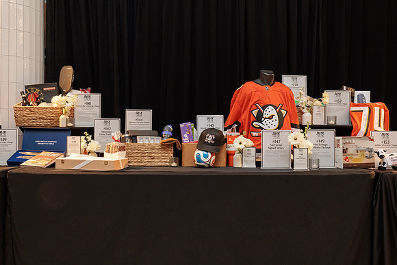 011126_ANAHEIM_DUCKS_006