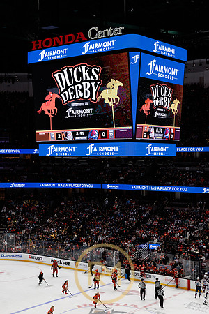 041325_ANAHEIM_DUCKS_248